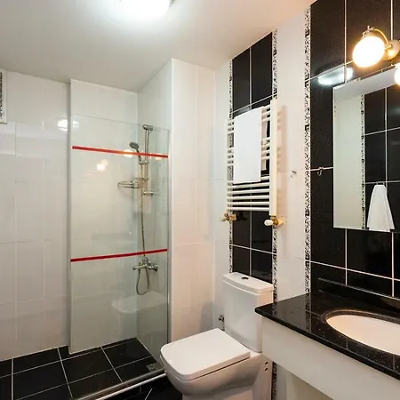 Panda Deluxe Taksim Apartahotel 2*